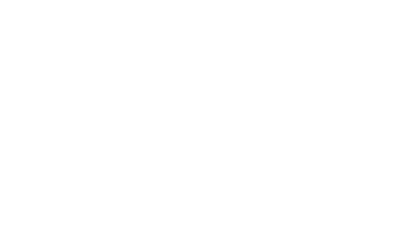 logo tera trasp